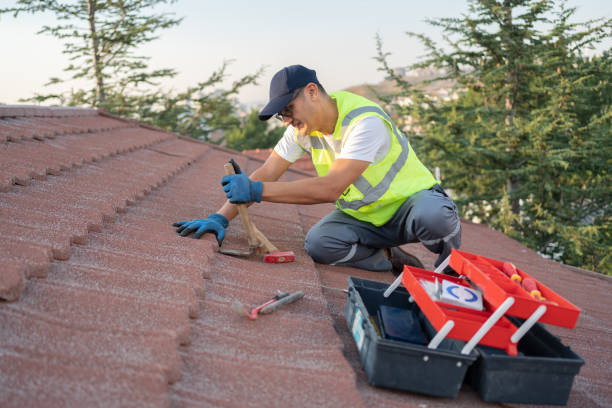 Best Affordable Roof Replacement  in Cloverdale, VA