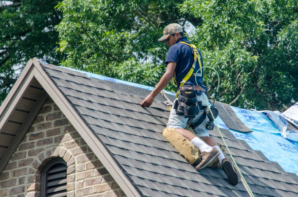 Best Storm Damage Roof Repair  in Cloverdale, VA